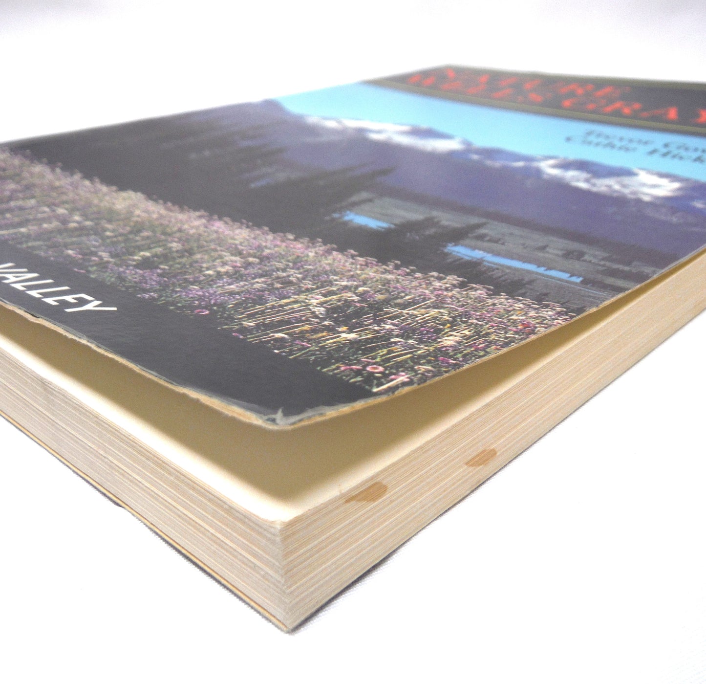 NATURE WELLS GRAY, The Clearwater Valley by Trevor Goward and Cathie Hickson (1989 1st Ed.)