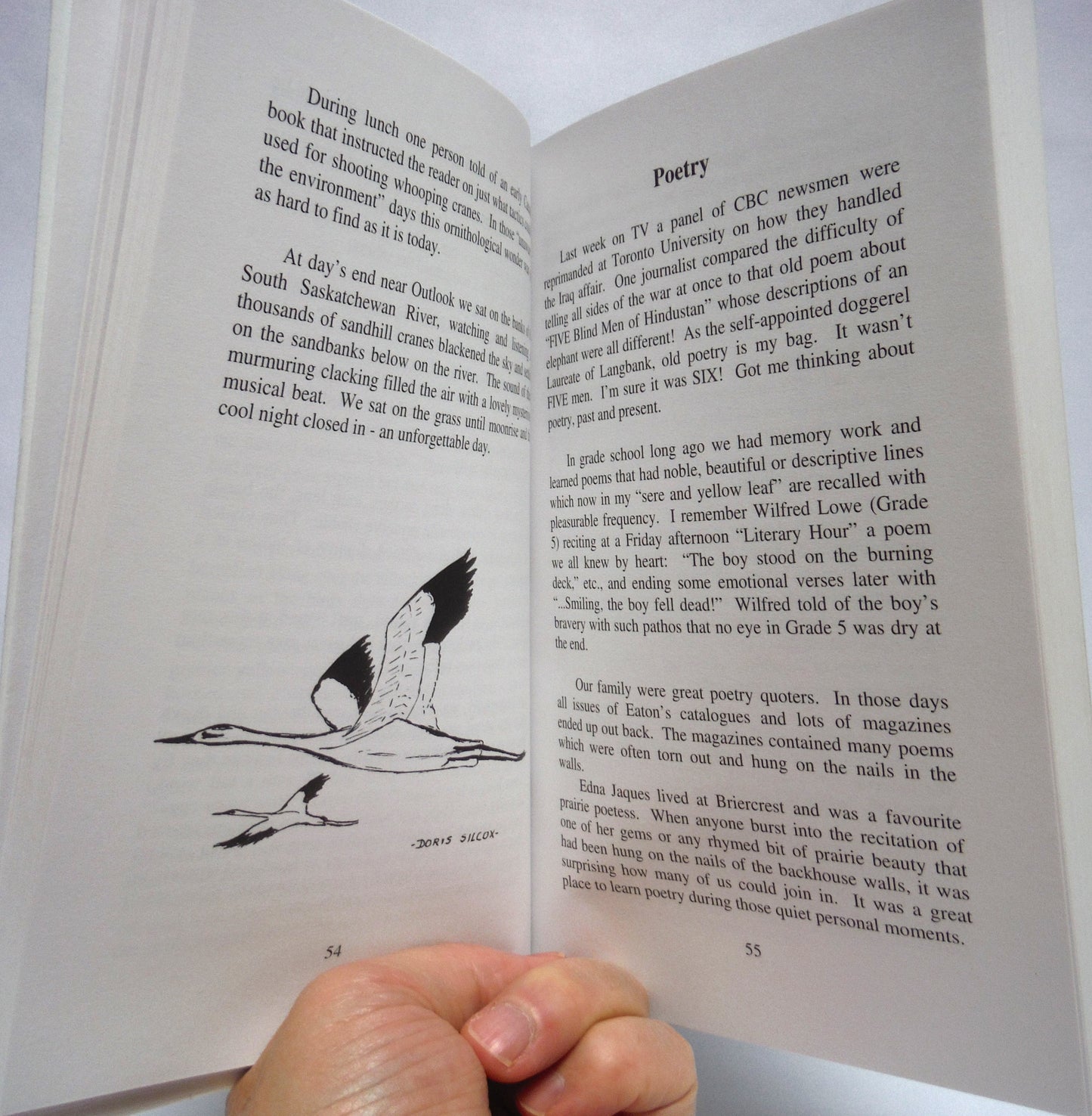 IT'S A DRY COLD…YOU DON'T FEEL IT, Saskatchewan Farm Stories by Edith Hewson (1997 1st Ed.)