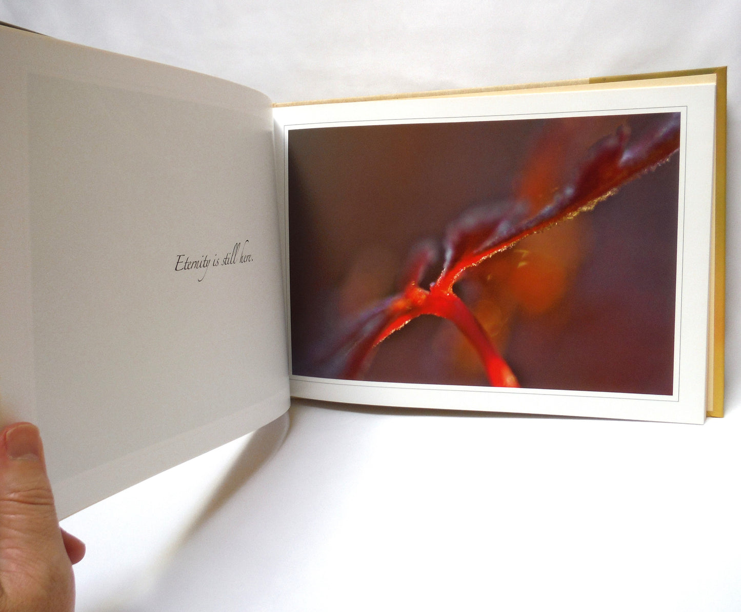 STILL MOVING: Image and Imagination, A Photographic Book by Karen Alexandre, Text by Jaimen McMillan (SIGNED 1st Ed.)