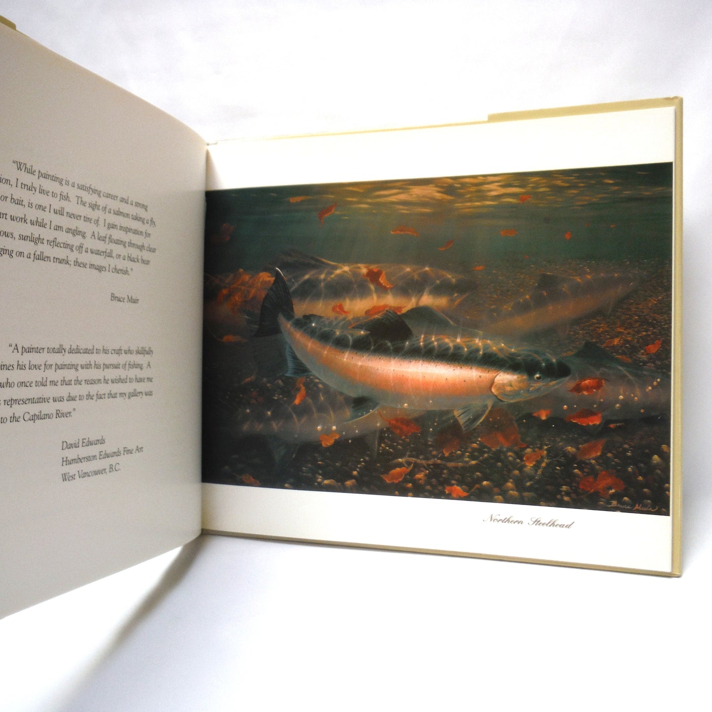 BRITISH COLUMBIA SALMON, A Celebration of Paintings and Cookery by Pamela McColl, Art by Bruce Muir, Introduced and SIGNED by Alan Haig-Brown (1st Ed. SIGNED)