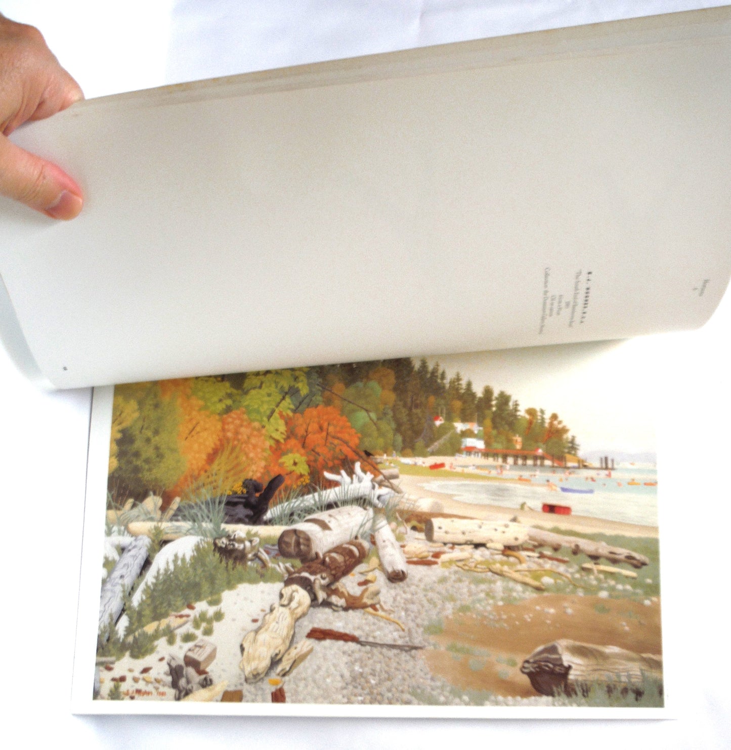 HORIZONS: Contemporary Canadian Landscapes, Selected by Marci Lipman and Louise Lipman (1985 1st Ed.)