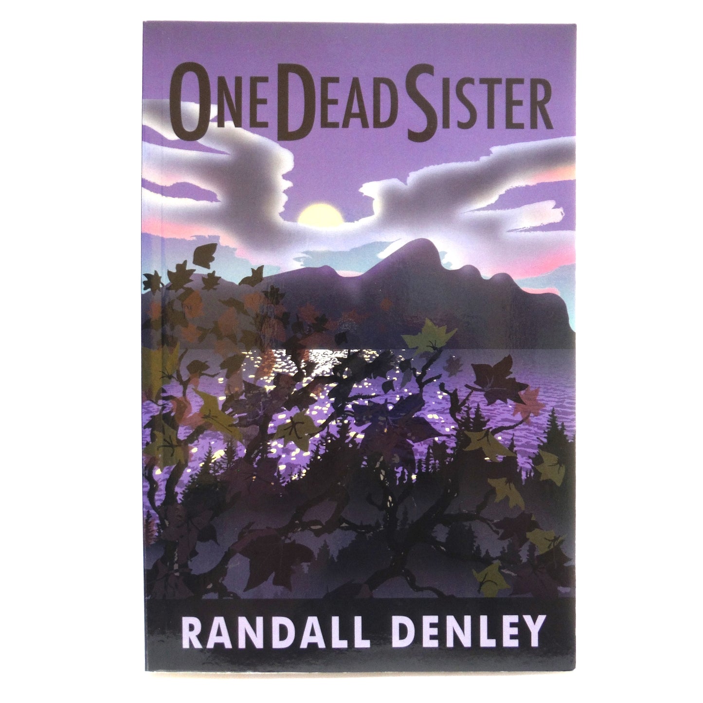 ONE DEAD SISTER, A Murder Mystery Novel by Randall Denley (1st Ed. SIGNED)