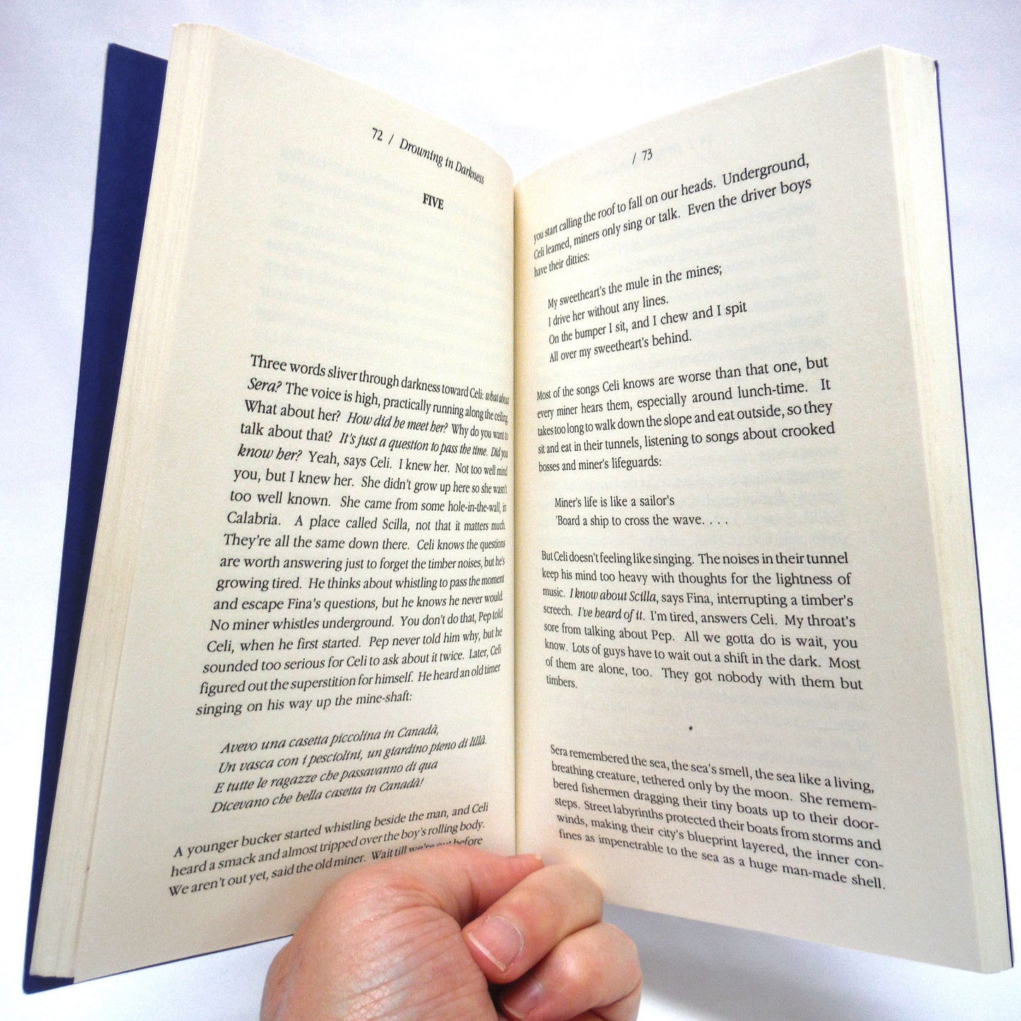 DROWNING IN DARKNESS, A Novel by Peter Oliva (1st Ed. SIGNED)