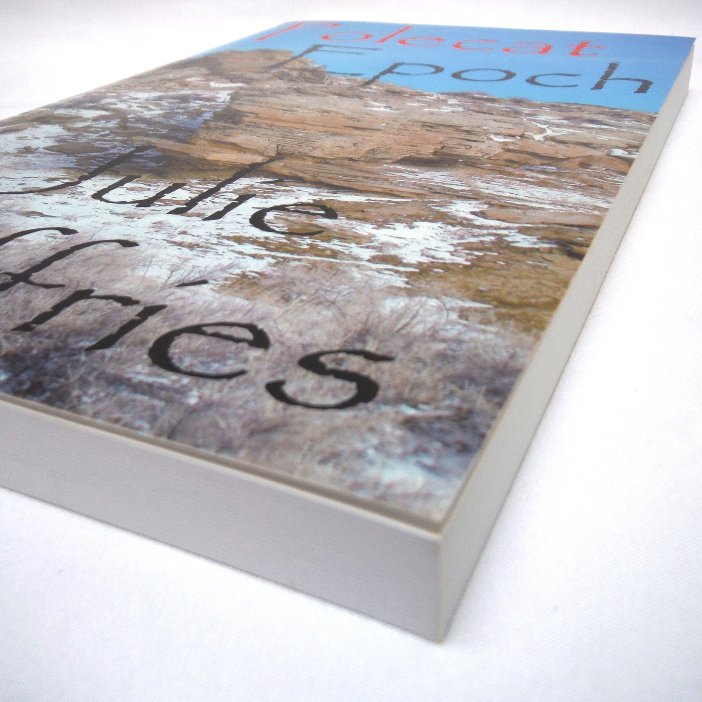 POLECAT EPOCH, The Novel by Julie Jeffries (1st Ed. SIGNED)