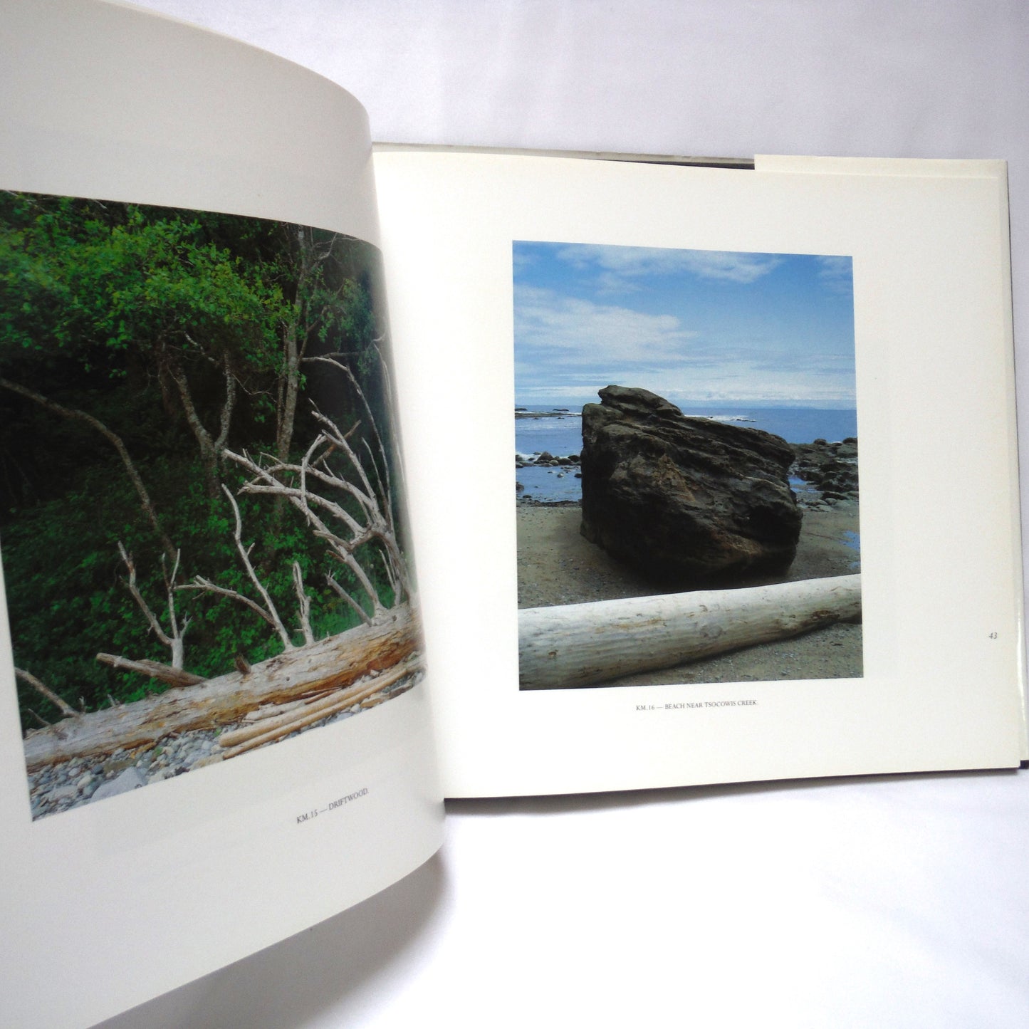 TIMELESS SHORE, Canada's West Coast Trail by George Allen (1994 1st Ed.)