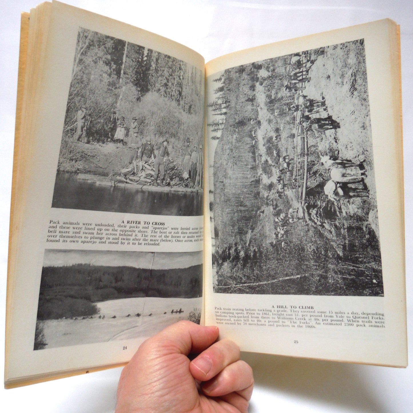 CARIBOO YARNS, Stories by F.W. Lindsay (1974 1st Ed.)