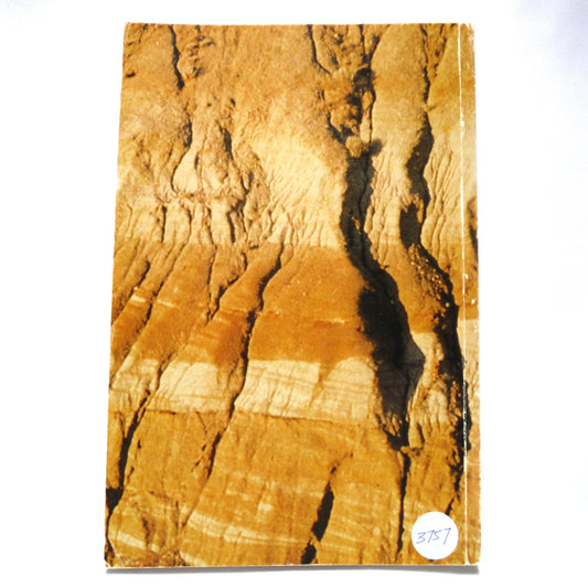 ALBERTA, Studies in The Arts and Sciences, Volume 1, Number 1: THE TYRRELL MUSEUM OF PALAEONTOLOGY (1988 1st Ed.)