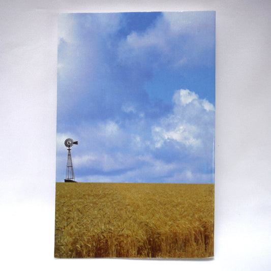 ALWAYS NEXT YEAR, A Story of Childhood Memories, by Alice M. Stainer (1st Ed. SIGNED)