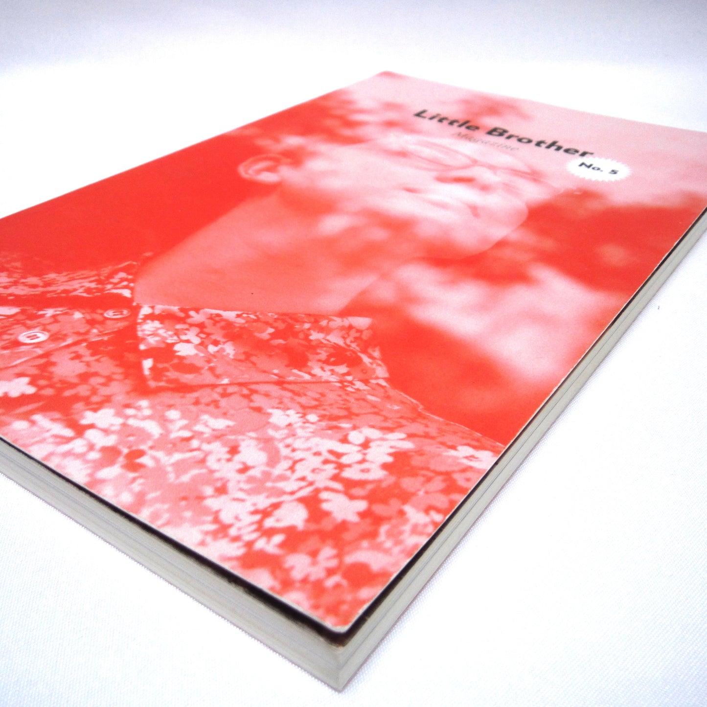 LITTLE BROTHER MAGAZINE NO. 5, Edited by Emily M. Keeler (2014 1st Ed.)