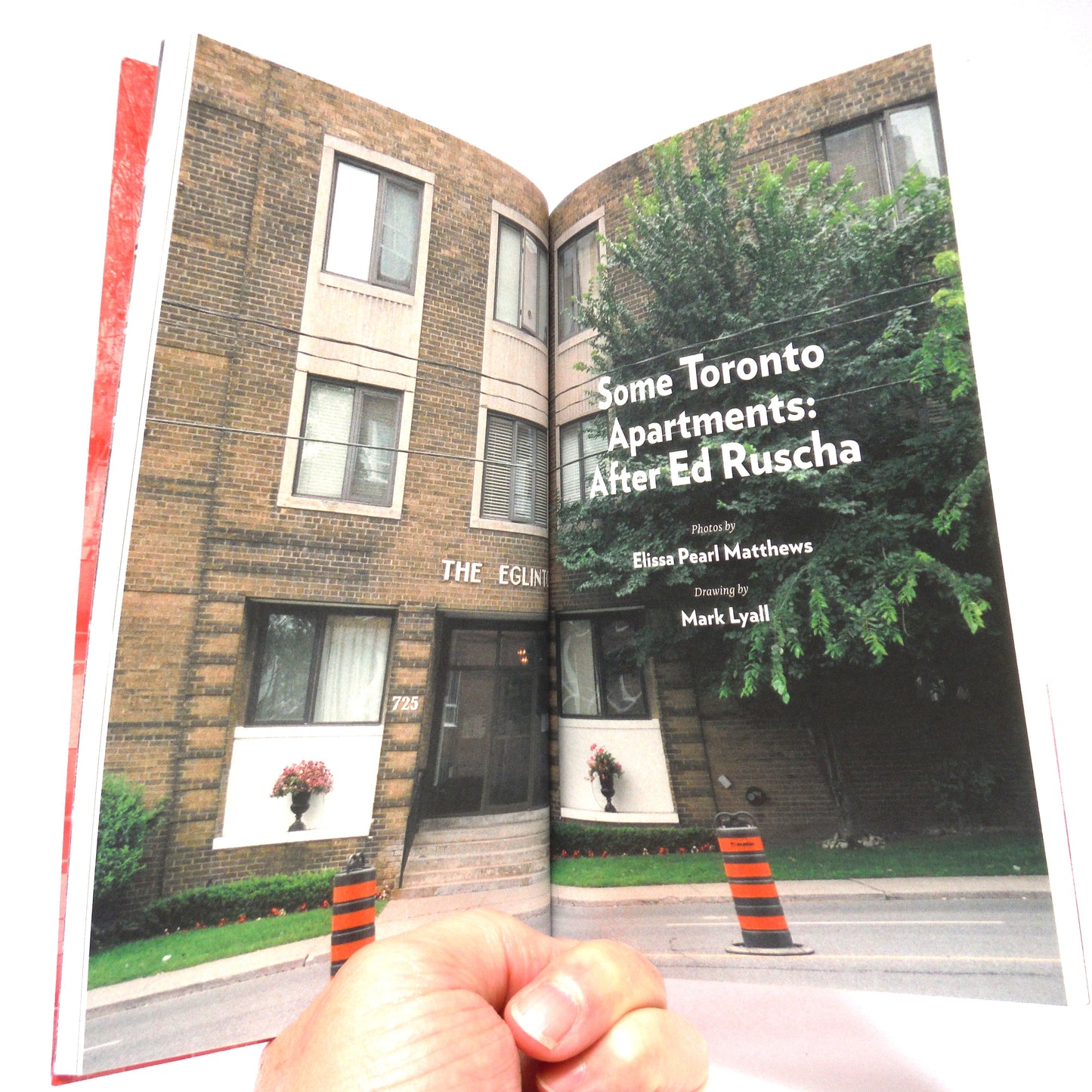 LITTLE BROTHER MAGAZINE NO. 5, Edited by Emily M. Keeler (2014 1st Ed.)