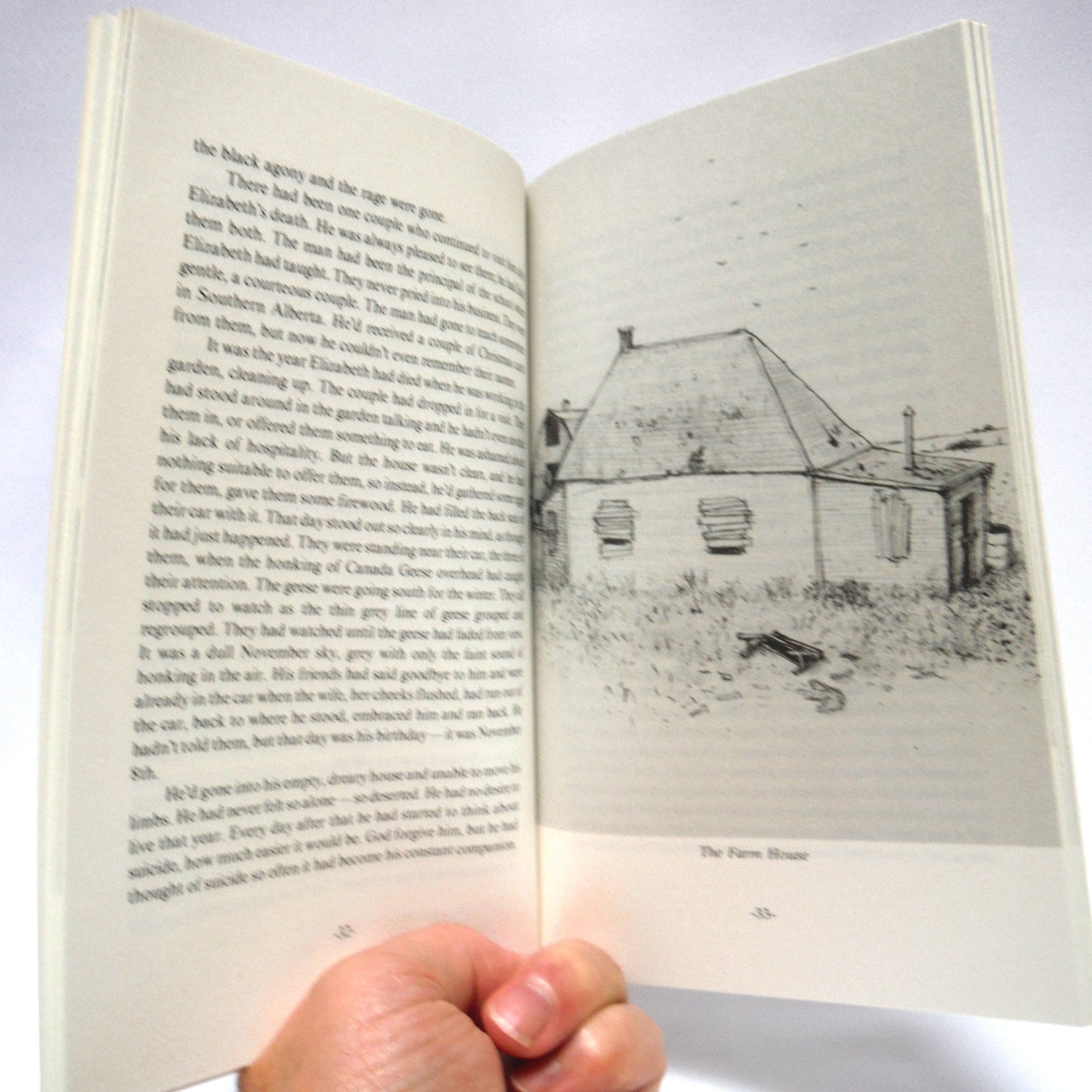 A GLORIA KUPCHENKO FROLICK Two-Pack 1st Edition Softcover Book Special: The Green Tomato Years, 1985 and The Chicken Man, 1989.