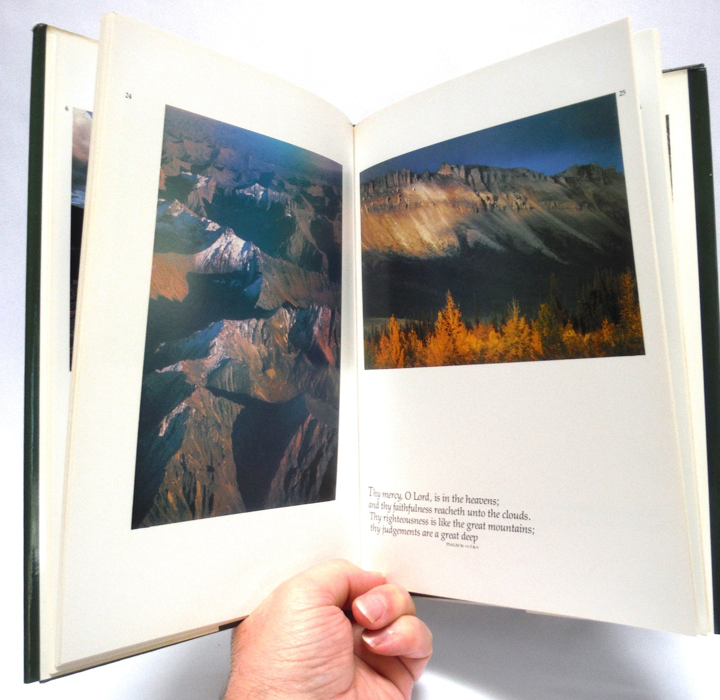 LIGHT IN THE WILDERNESS, A Photographic Journal by Paul von Baich (2000 1st Ed.)