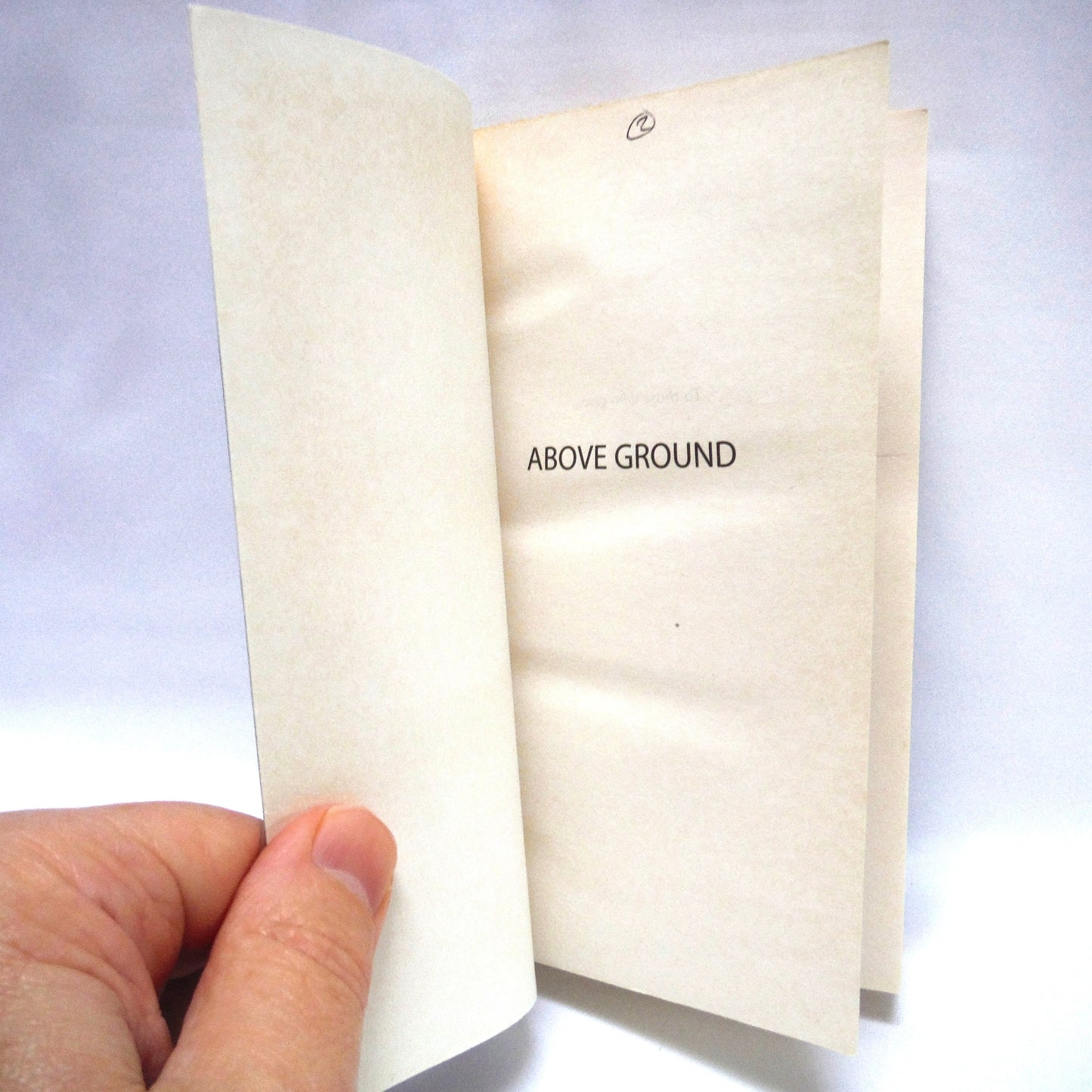 ABOVE GROUND, A Jack Taggart Mystery, by Don Easton (1st Ed. SIGNED)