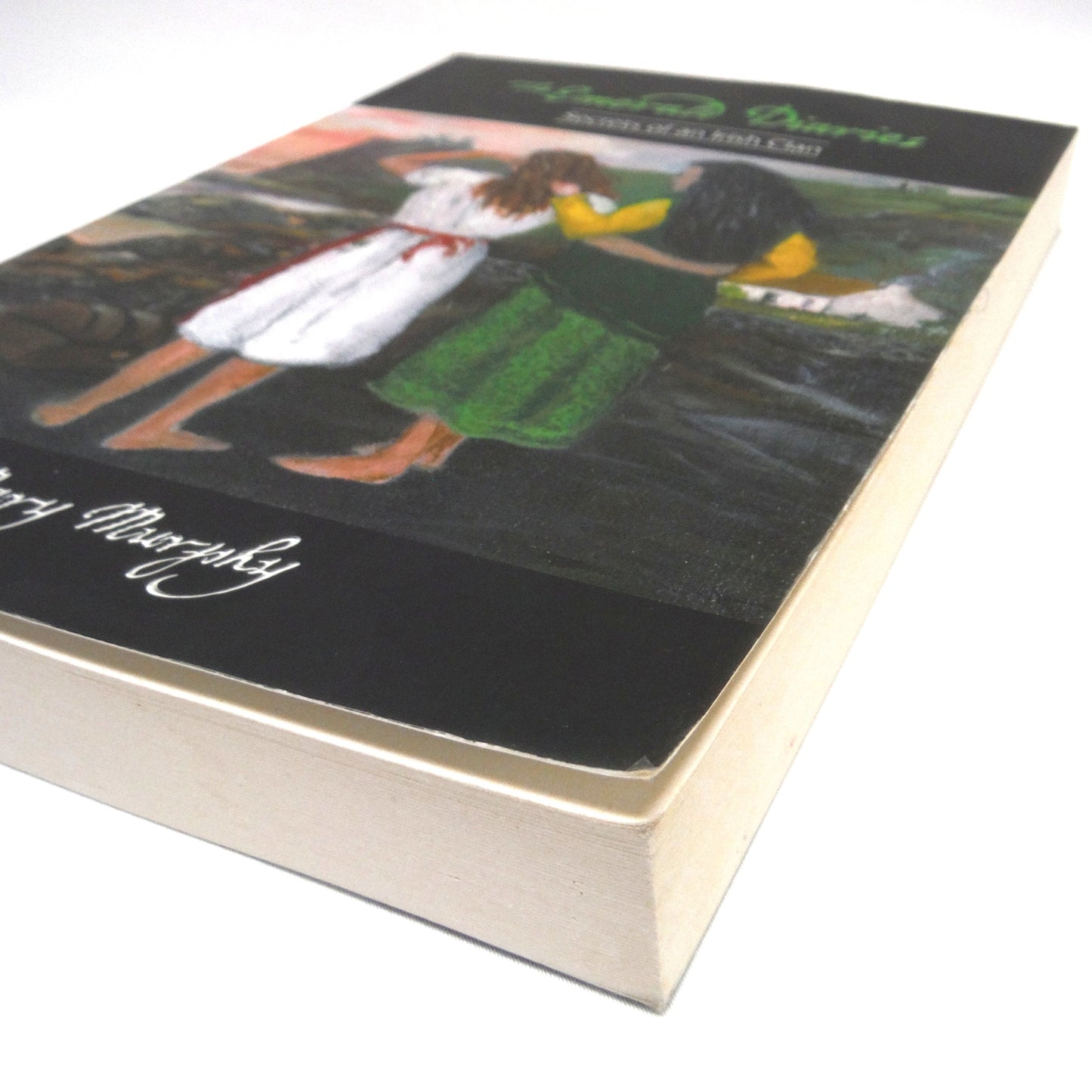 THE EMERALD DIARIES, Secrets of an Irish Clan, A Novel by Mary Murphy (1st Ed. SIGNED)