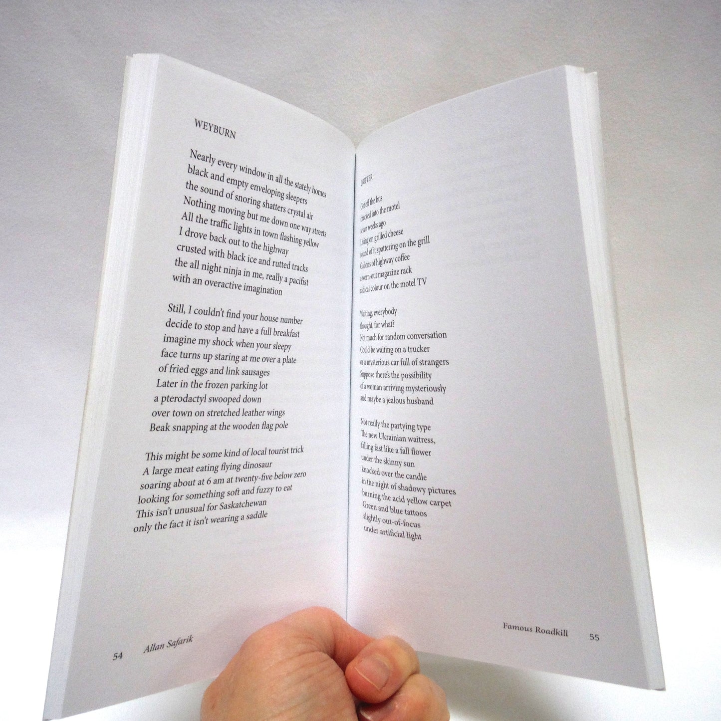 FAMOUS ROADKILL, Poetry by Allan Safarik (1st Ed. SIGNED)