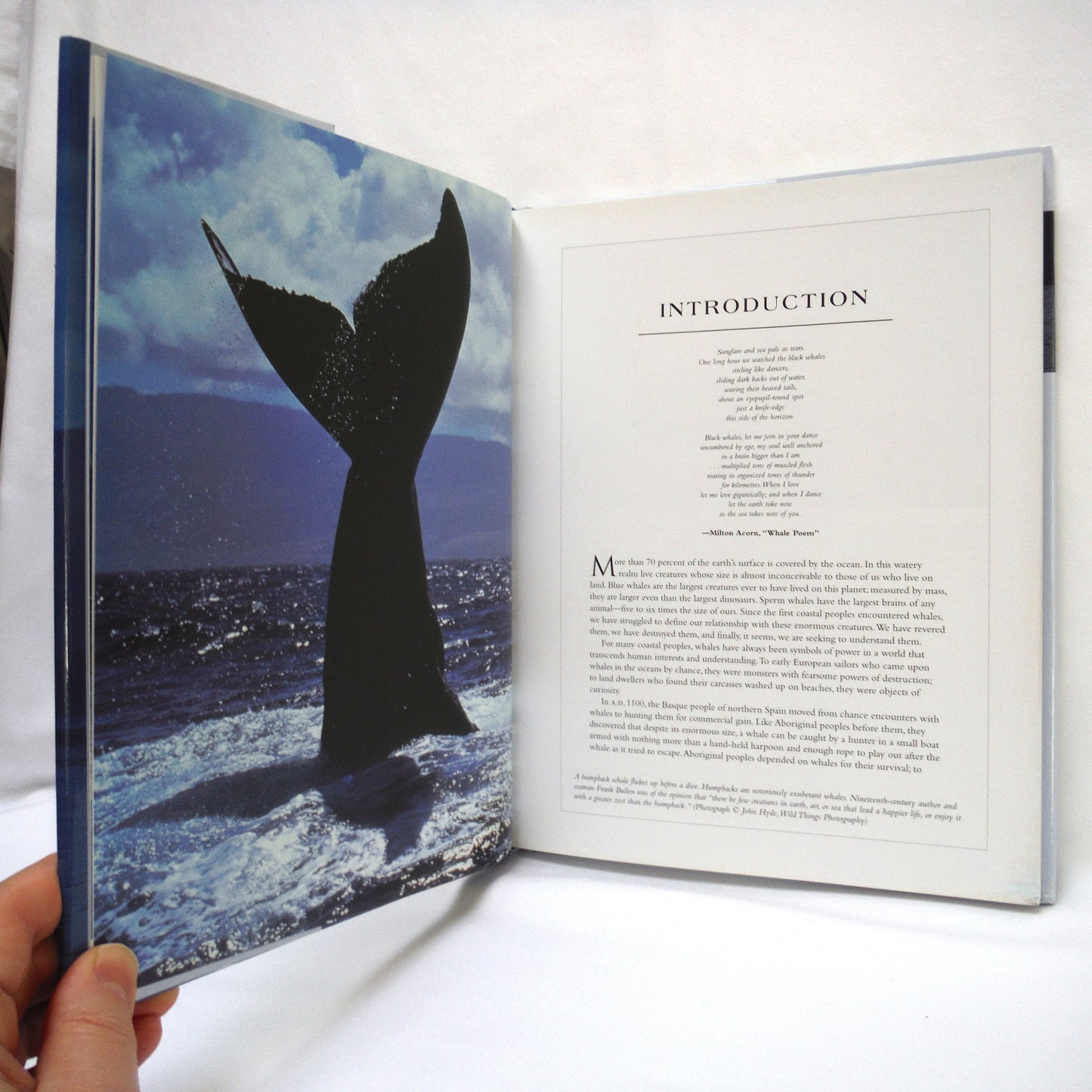 THE SPIRIT OF THE WHALE, Legend, History, Conservation, Edited by Jane Billinghurst (1st Ed. SIGNED)