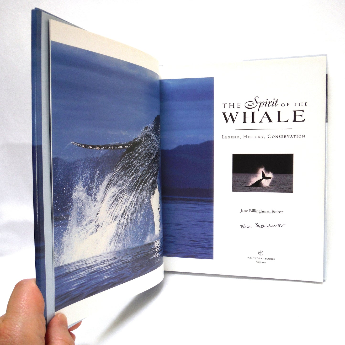 THE SPIRIT OF THE WHALE, Legend, History, Conservation, Edited by Jane Billinghurst (1st Ed. SIGNED)
