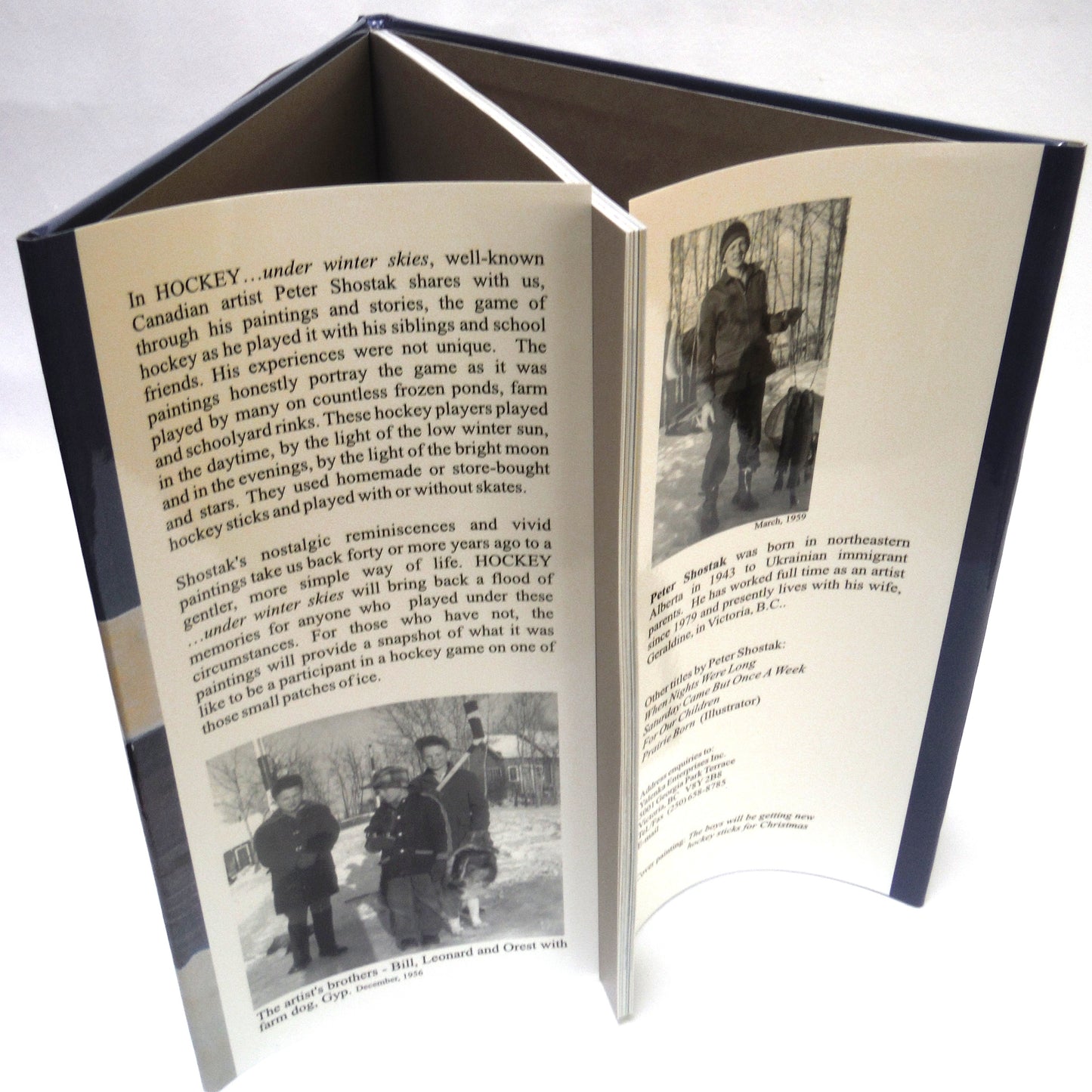 HOCKEY UNDER WINTER SKIES, Paintings and Text by Peter Shostak (2000 1st Ed.)