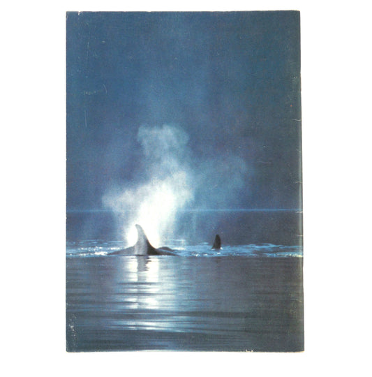 THE KILLER WHALES OF B.C., Journal of the Vancouver Aquarium, WATERS, Vol 5, Number 1, Summer 1981