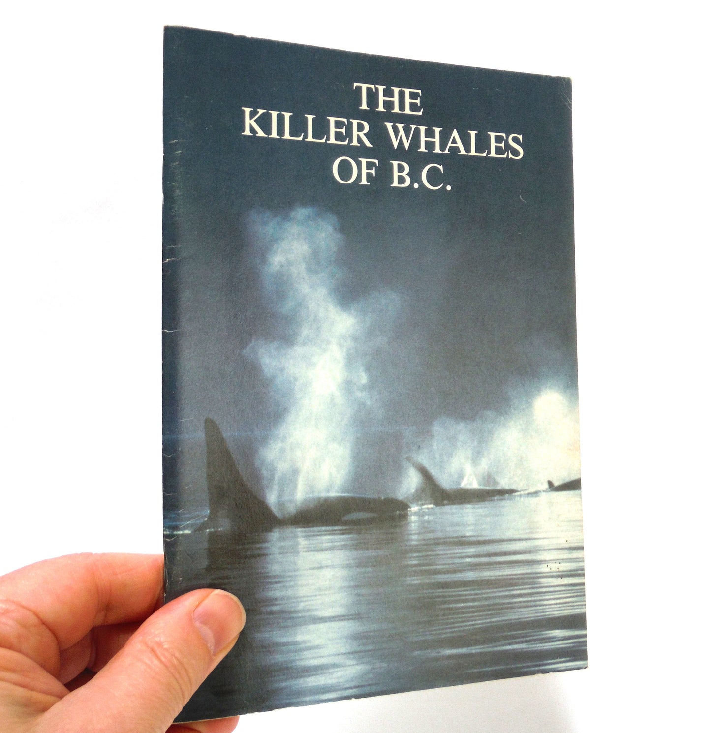 WATERS, Journal of the Vancouver Aquarium, Vol 5, Number 1, Summer 1981: THE KILLER WHALES OF B.C. (1973 1st Ed.)