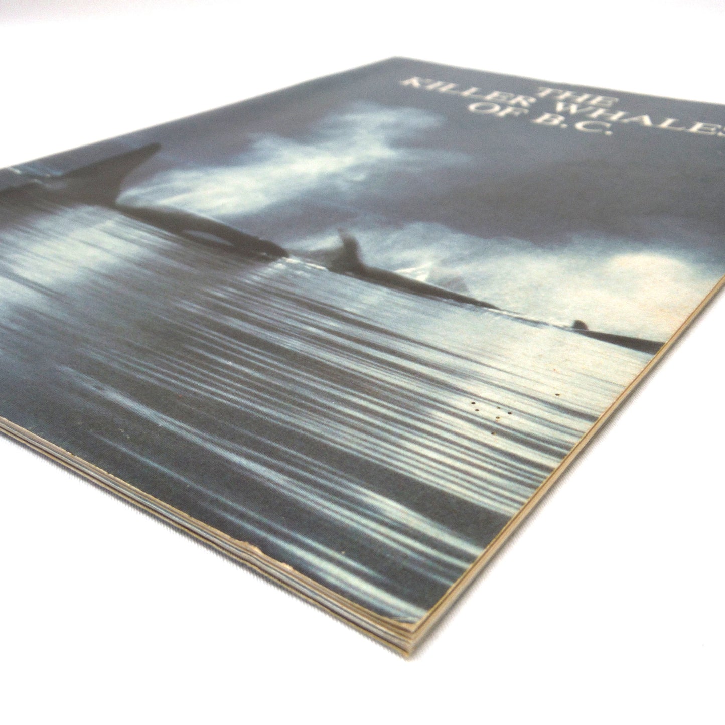 WATERS, Journal of the Vancouver Aquarium, Vol 5, Number 1, Summer 1981: THE KILLER WHALES OF B.C. (1973 1st Ed.)