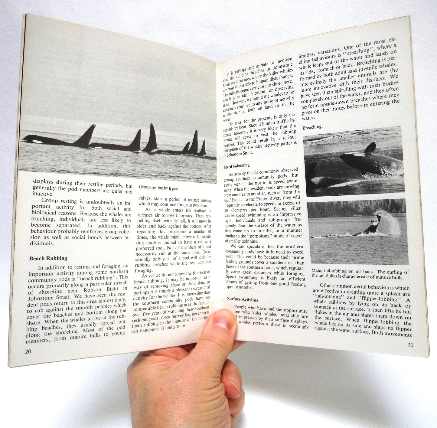 WATERS, Journal of the Vancouver Aquarium, Vol 5, Number 1, Summer 1981: THE KILLER WHALES OF B.C. (1973 1st Ed.)