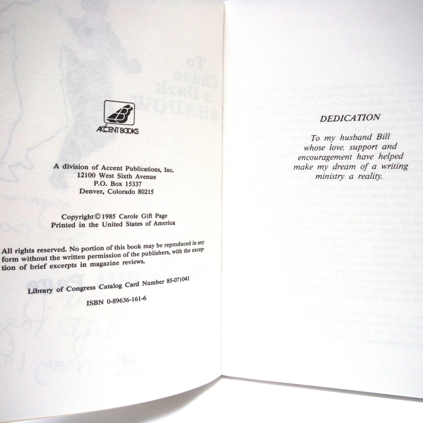 TO CHASE A DARK SHADOW, A Novel by Carole Gift Page (1st Ed. SIGNED)