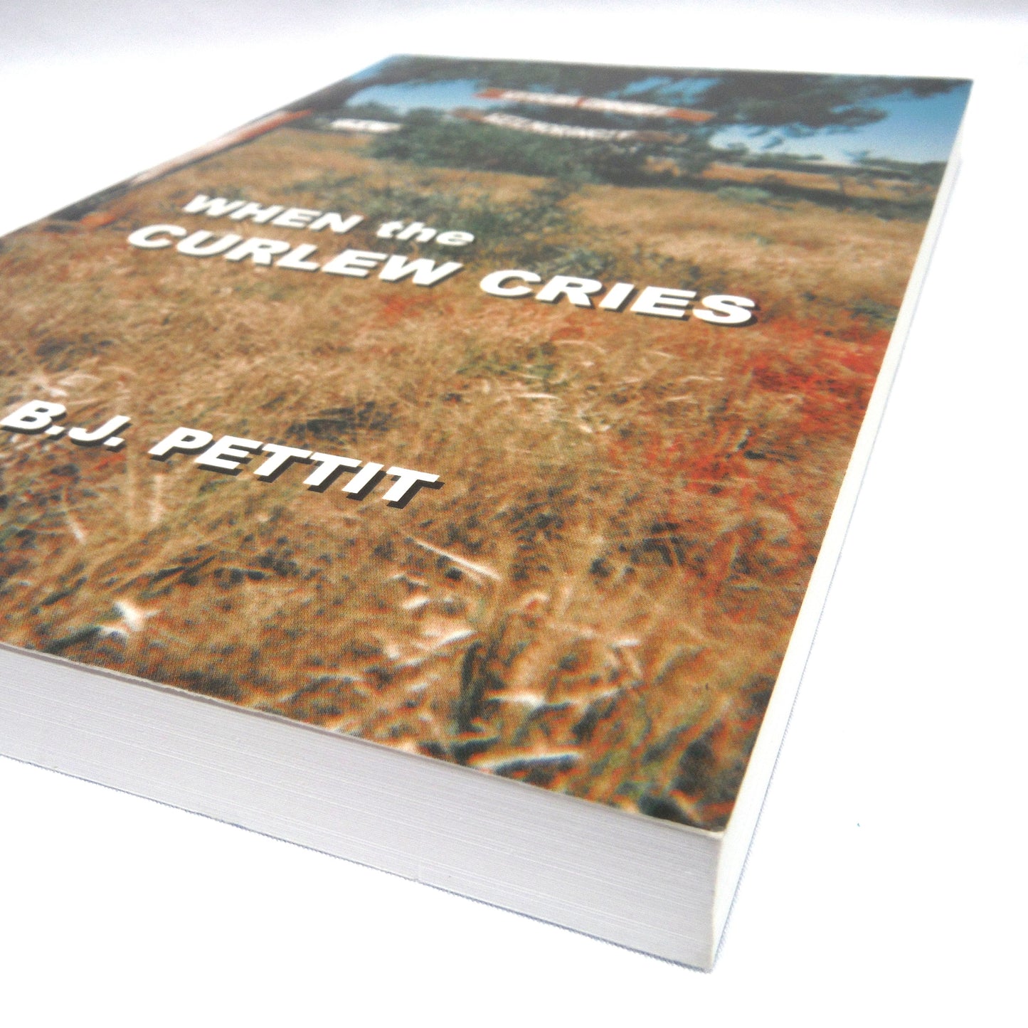 WHEN THE CURLEW CRIES, by B.J. Pettit (1st Ed. SIGNED)