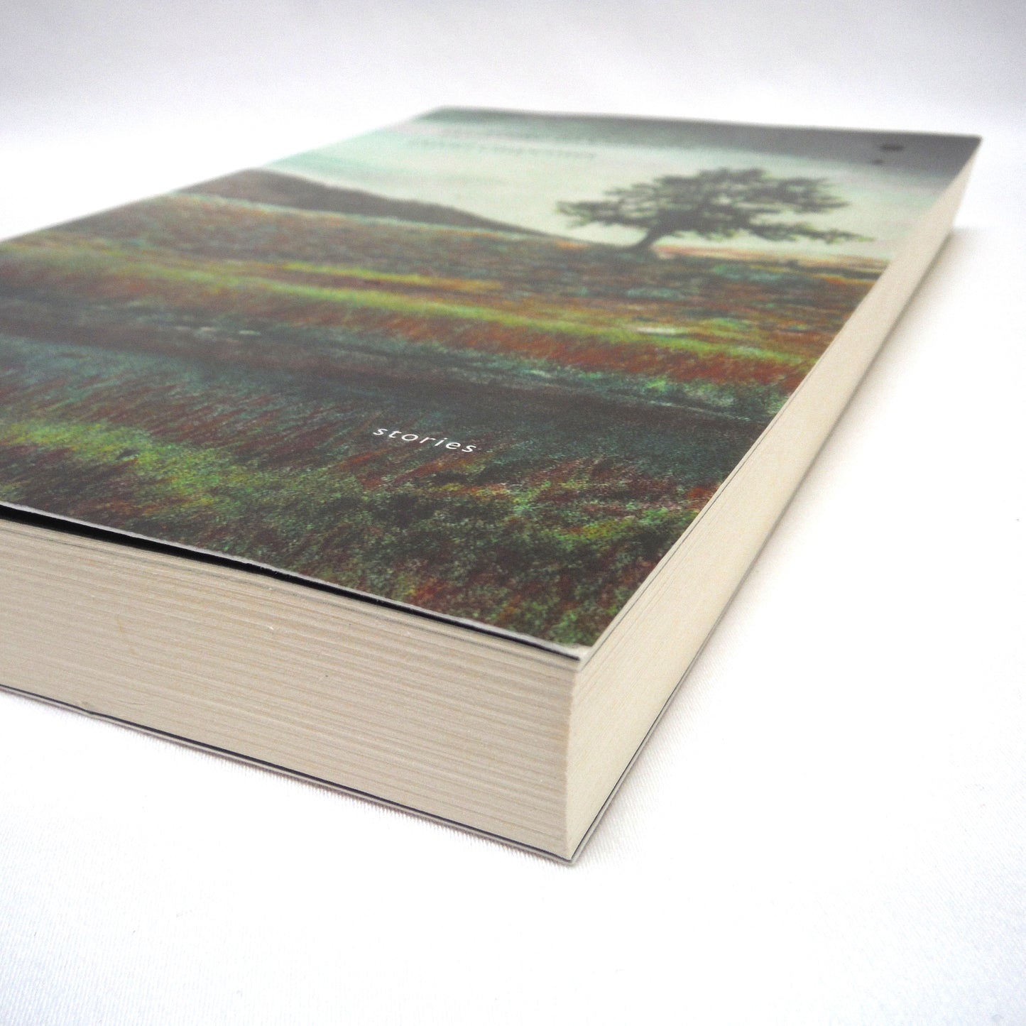 WELCOME TO CANADA, A Short Story Collection by David Carpenter (2009 1st Ed.)