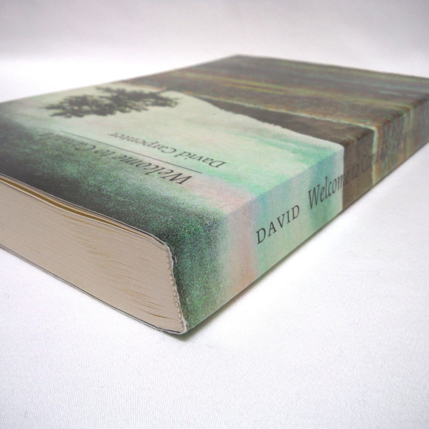 WELCOME TO CANADA, A Short Story Collection by David Carpenter (2009 1st Ed.)