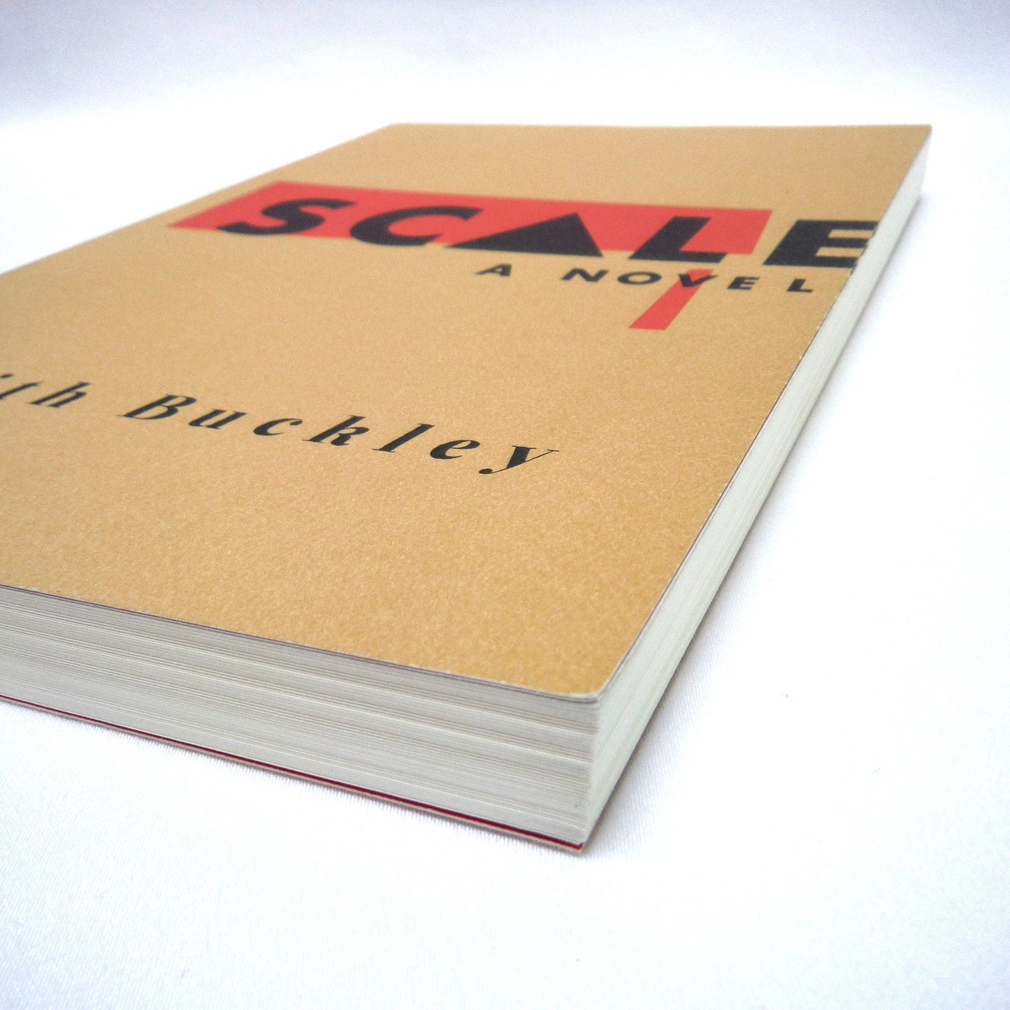 SCALE, A Novel by Keith Buckley (2015 1st Ed.)