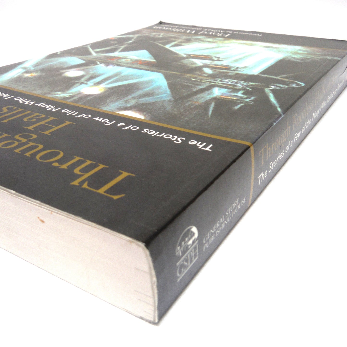 THROUGH FOOTLESS HALLS OF AIR, The Stories of a Few of the Many Who Failed to Return, by Floyd Williston (1996 1st Ed.)