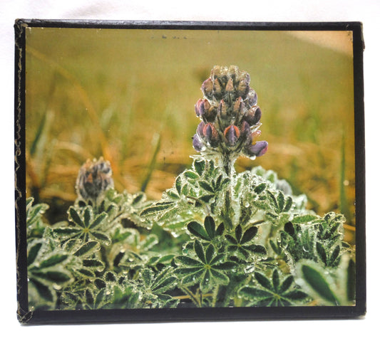 THE ARCTIC: Photography and Text by Fred Bruemmer, and The Montreal Star (1974 1st Ed.)