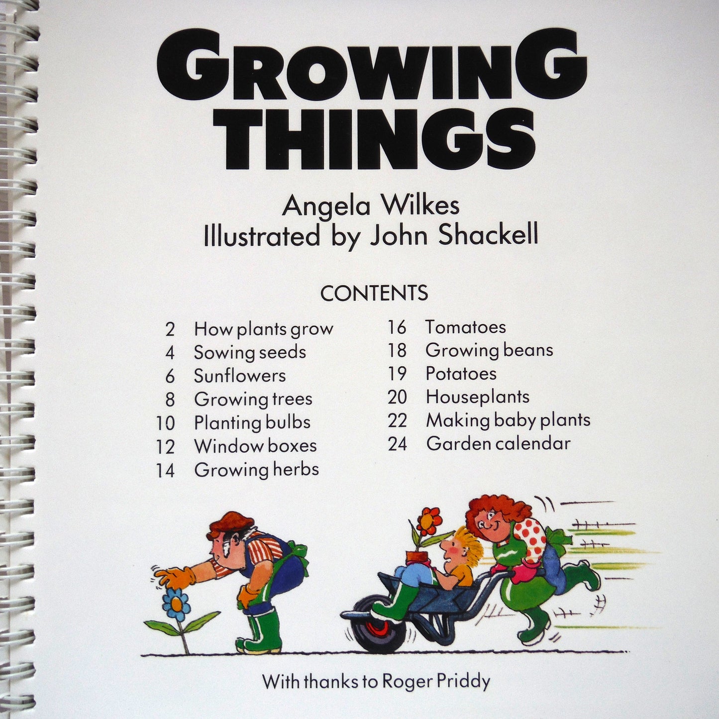 THE USBORNE BOOK OF SIMPLE THINGS TO MAKE AND DO, by Angela Wilkes (1985 1st Ed.)