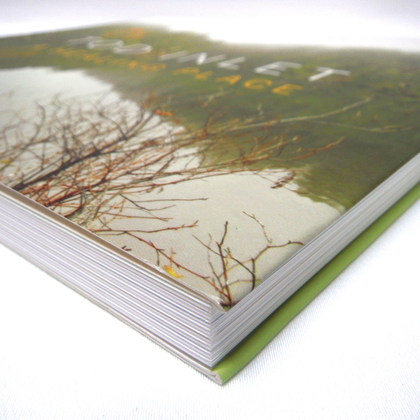 TOD INLET: A HEALING PLACE, A Photographic Journey by Gwen Curry (2015 1st Ed.)