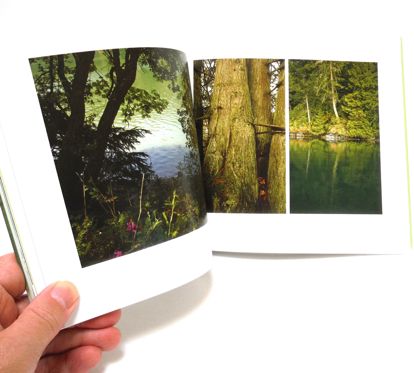 TOD INLET: A HEALING PLACE, A Photographic Journey by Gwen Curry (2015 1st Ed.)