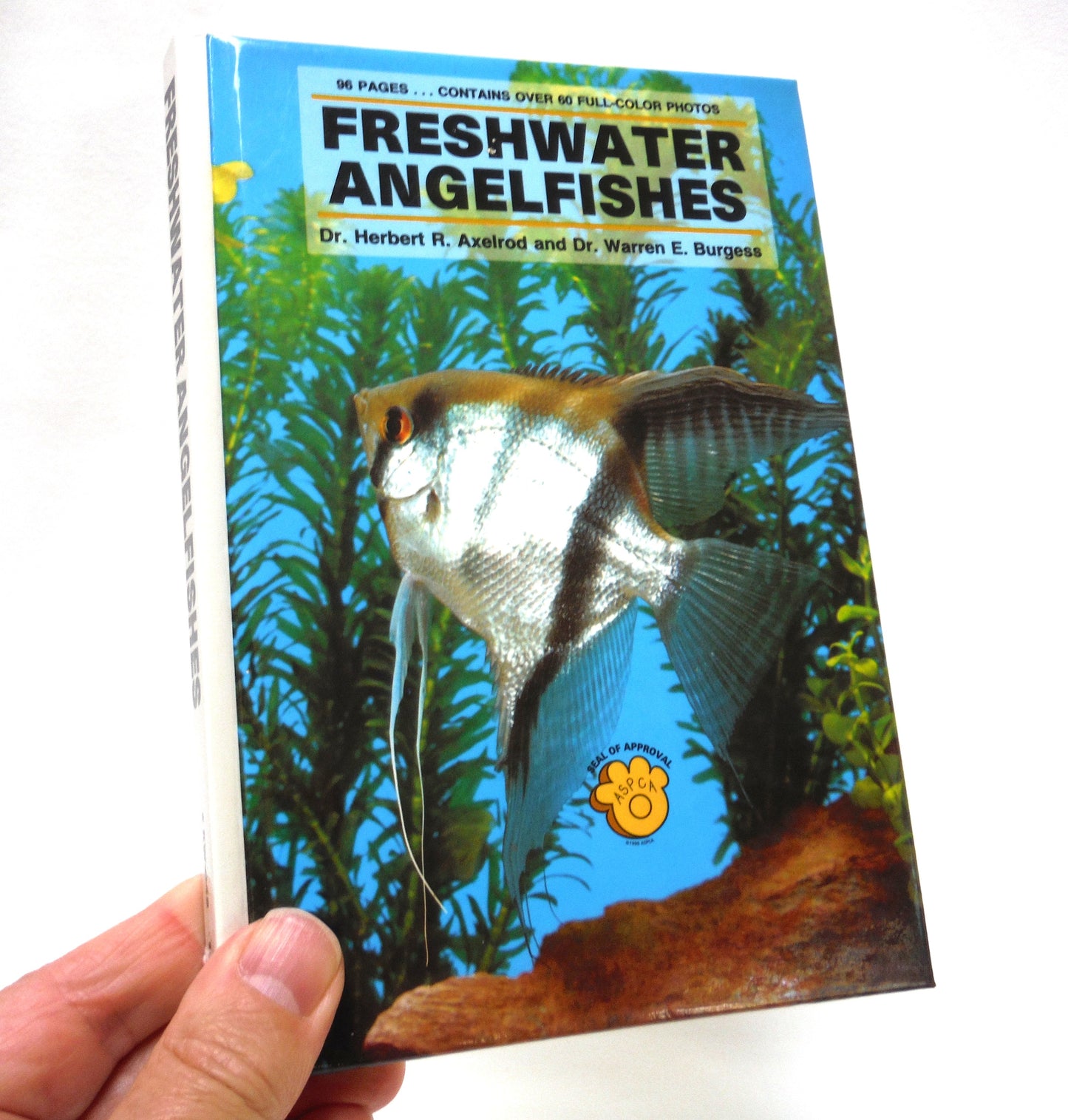 FRESHWATER ANGELFISHES FULL-COLOUR POCKET GUIDE KW-408, by Dr. Herbert R. Axelrod and Dr. Warren E. Burgess (1995 Edition)