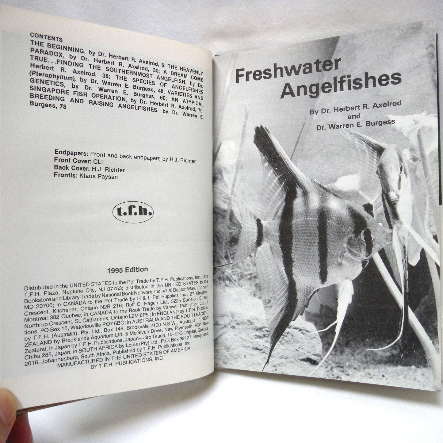 FRESHWATER ANGELFISHES FULL-COLOUR POCKET GUIDE KW-408, by Dr. Herbert R. Axelrod and Dr. Warren E. Burgess (1995 Edition)