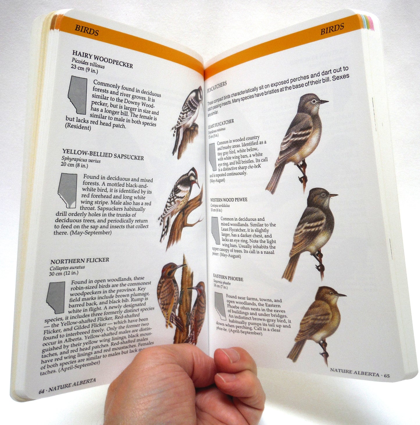 NATURE ALBERTA, An Illustrated Guide to Common Plants and Animals, by James Kavanagh, Illustrations by Marianne Nakaska, Linda Dunn, and Horst H. Krause (1991 1st Ed.)