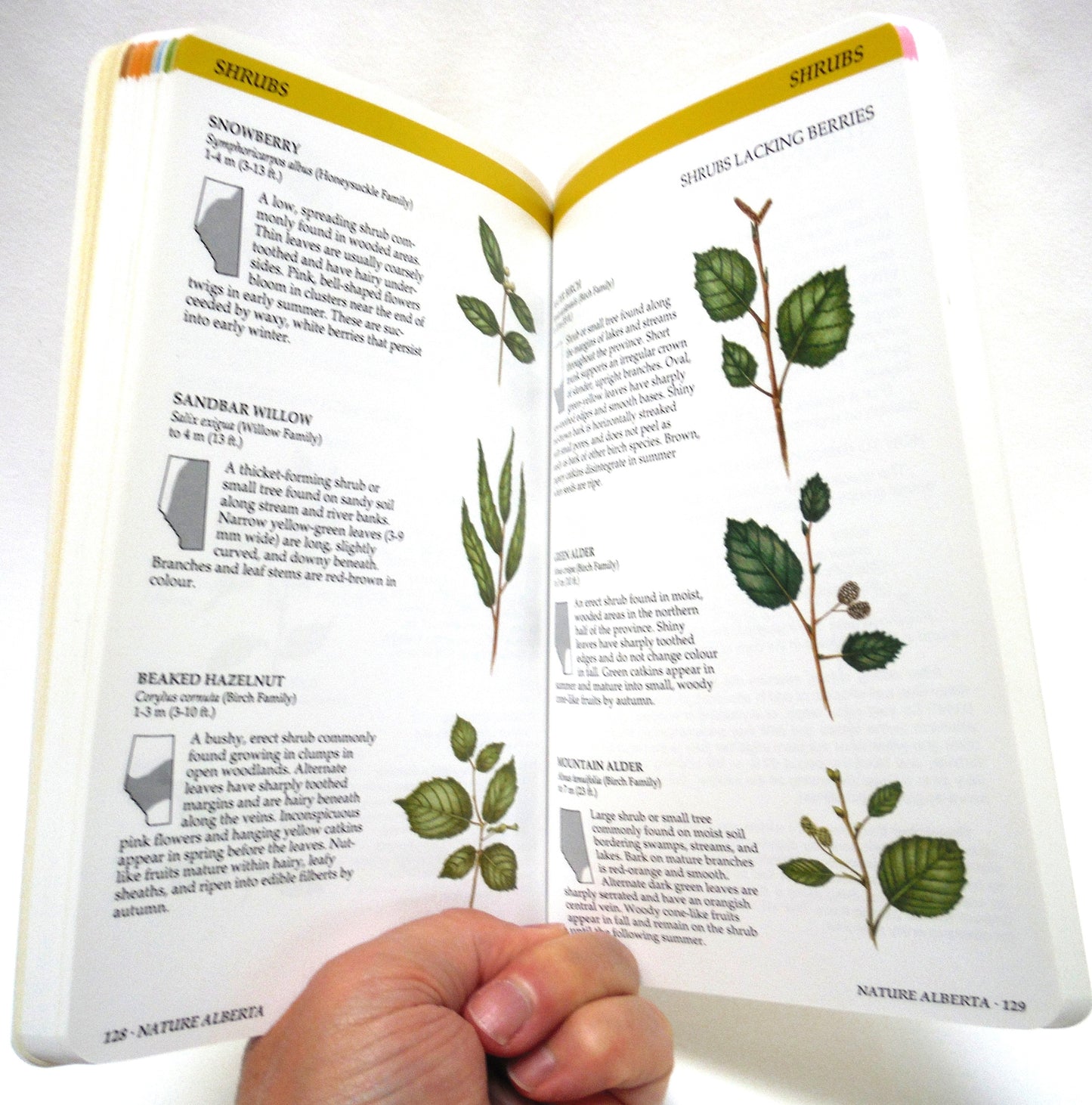 NATURE ALBERTA, An Illustrated Guide to Common Plants and Animals, by James Kavanagh, Illustrations by Marianne Nakaska, Linda Dunn, and Horst H. Krause (1991 1st Ed.)