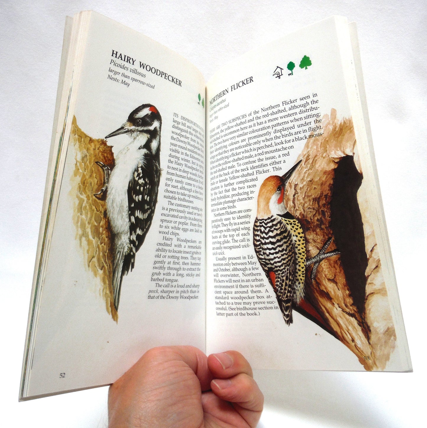 BIRDS OF EDMONTON, The Revised Guide by Robin Bovey (1995 Revised)