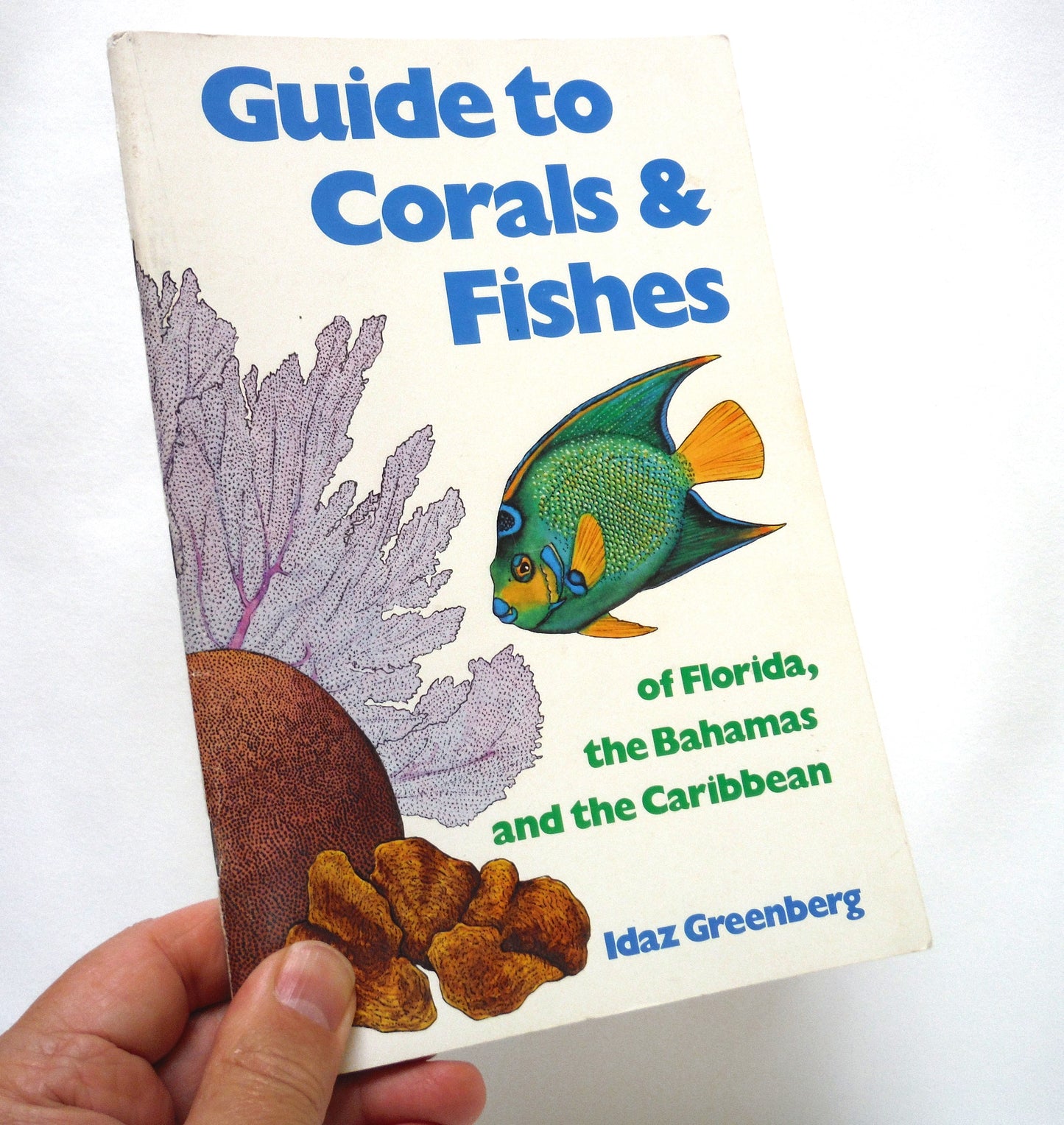 GUIDE TO CORALS & FISHES of Florida, Bahamas, and the Caribbean, by Idaz Greenberg (1986 Ed.)