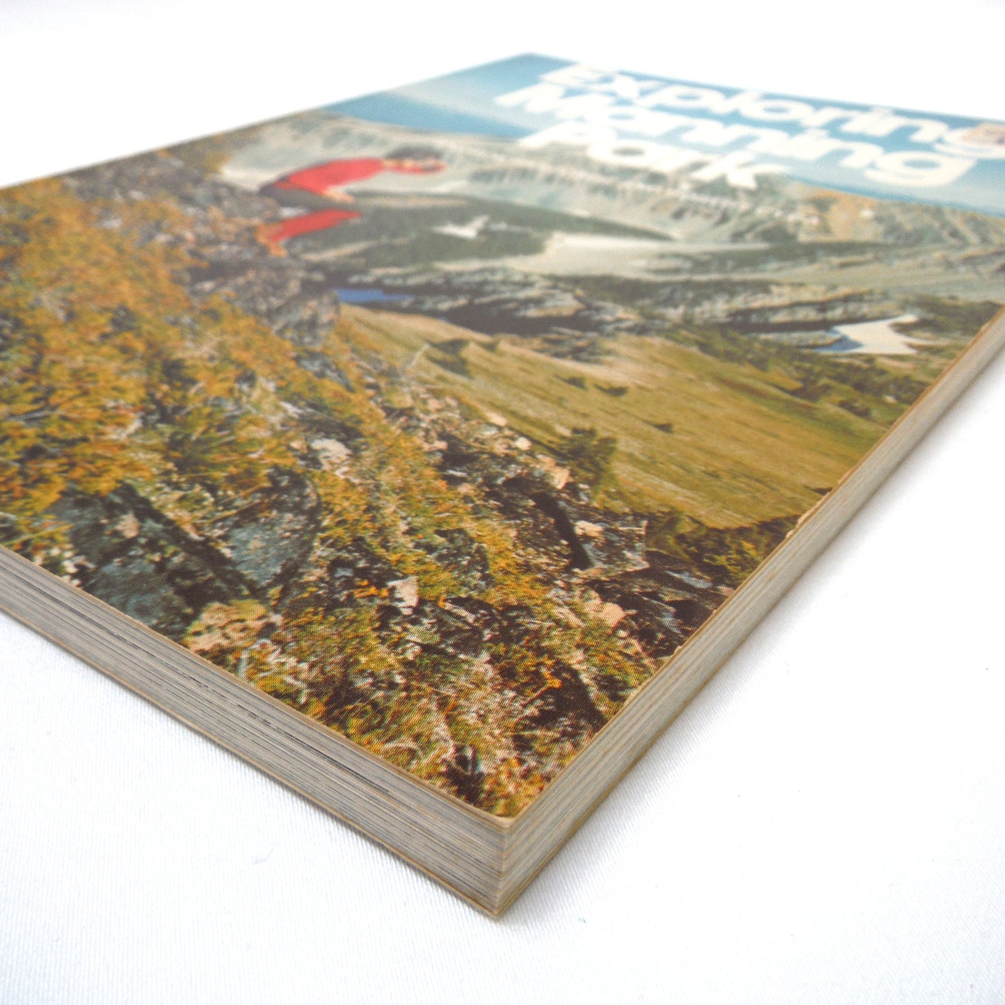 EXPLORING MANNING PARK, by Andrew Harcombe and Robert Cyca, 1979