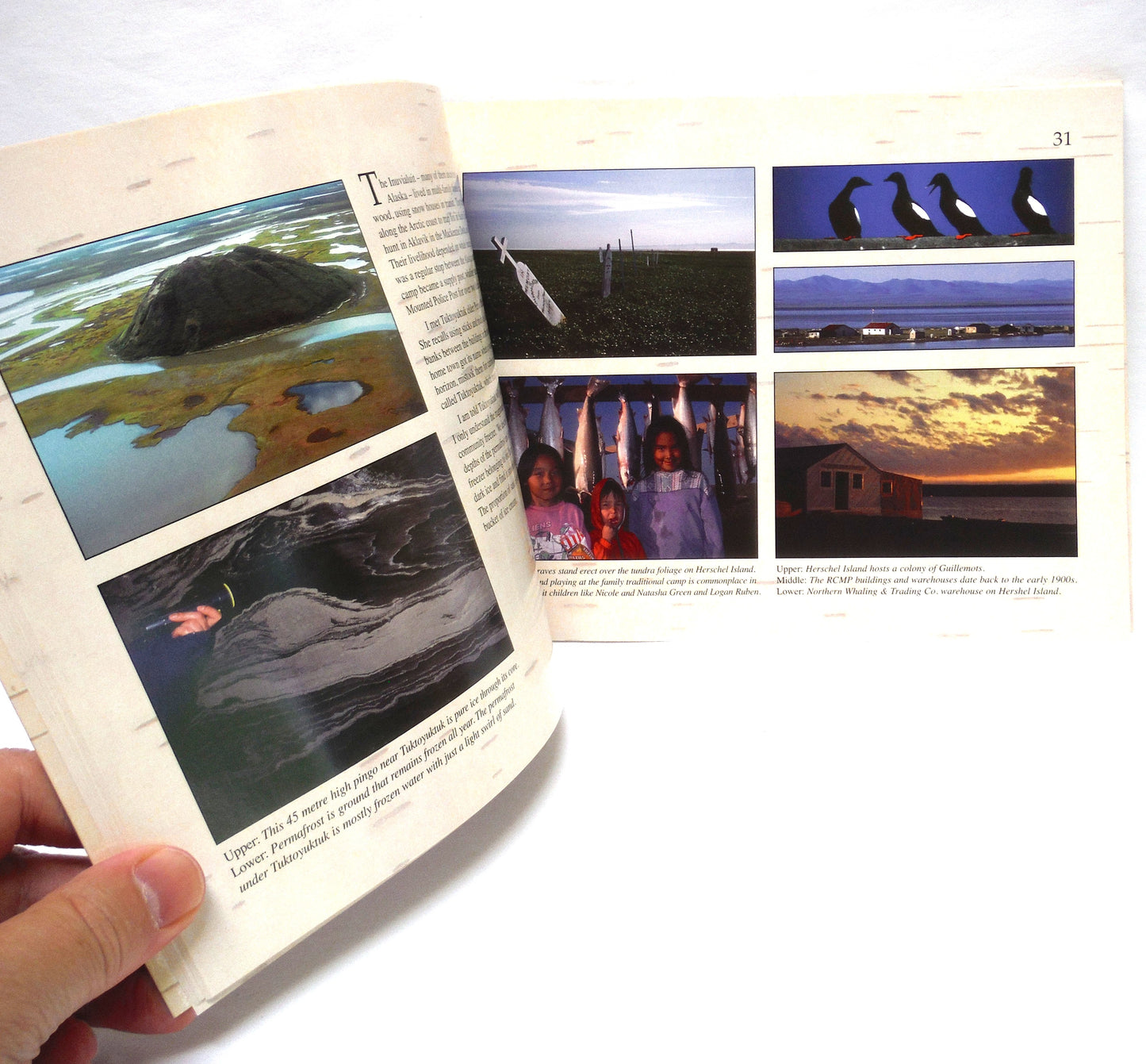 CANADA'S NORTHWEST TERRITORIES, A Land of Diversity by Leslie Leong (2003 1st Ed.)