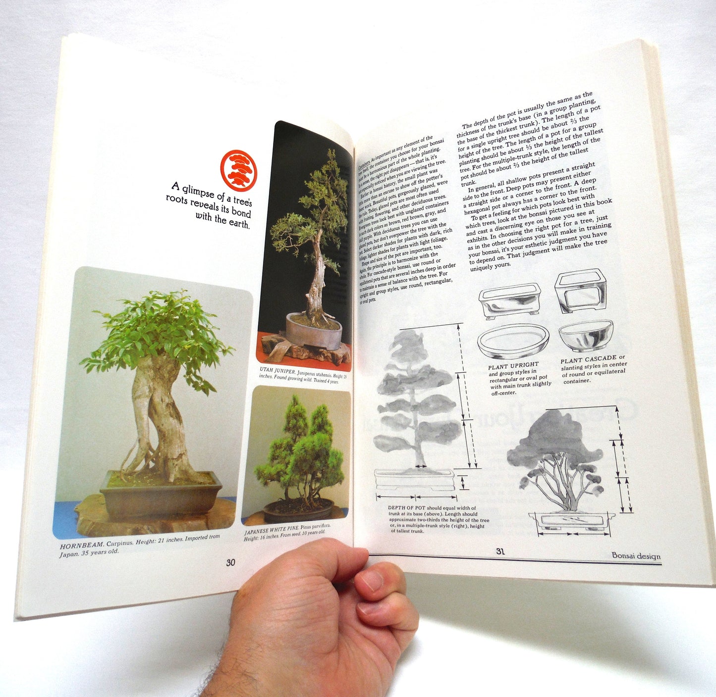 BONSAI: An Illustrated Gide to an Ancient Art, by Sunset Publishing, 1976