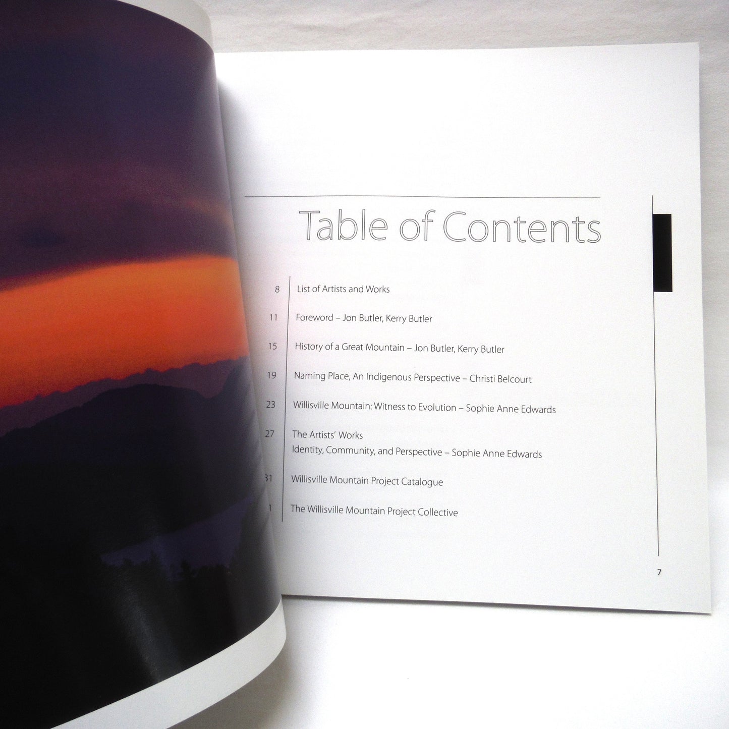 THE WILLISVILLE MOUNTAIN PROJECT: Rock-Spirit-Art Exhibit Catalogue, 2009