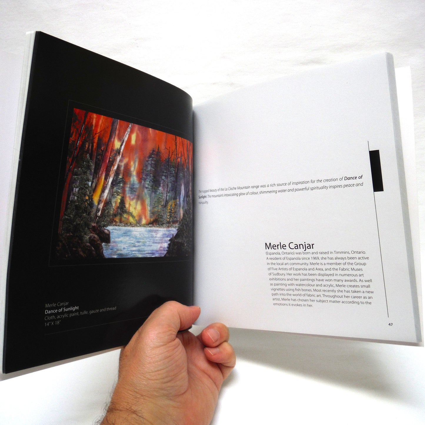THE WILLISVILLE MOUNTAIN PROJECT: Rock-Spirit-Art Exhibit Catalogue, 2009