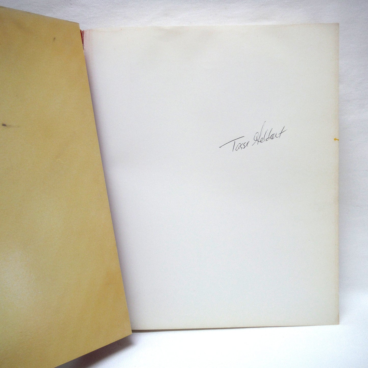 BETTY GOODWIN, Works from 1971 to 1987, by Yolande Racine and The Montreal Museum of Fine Arts (1987 1st Ed.)