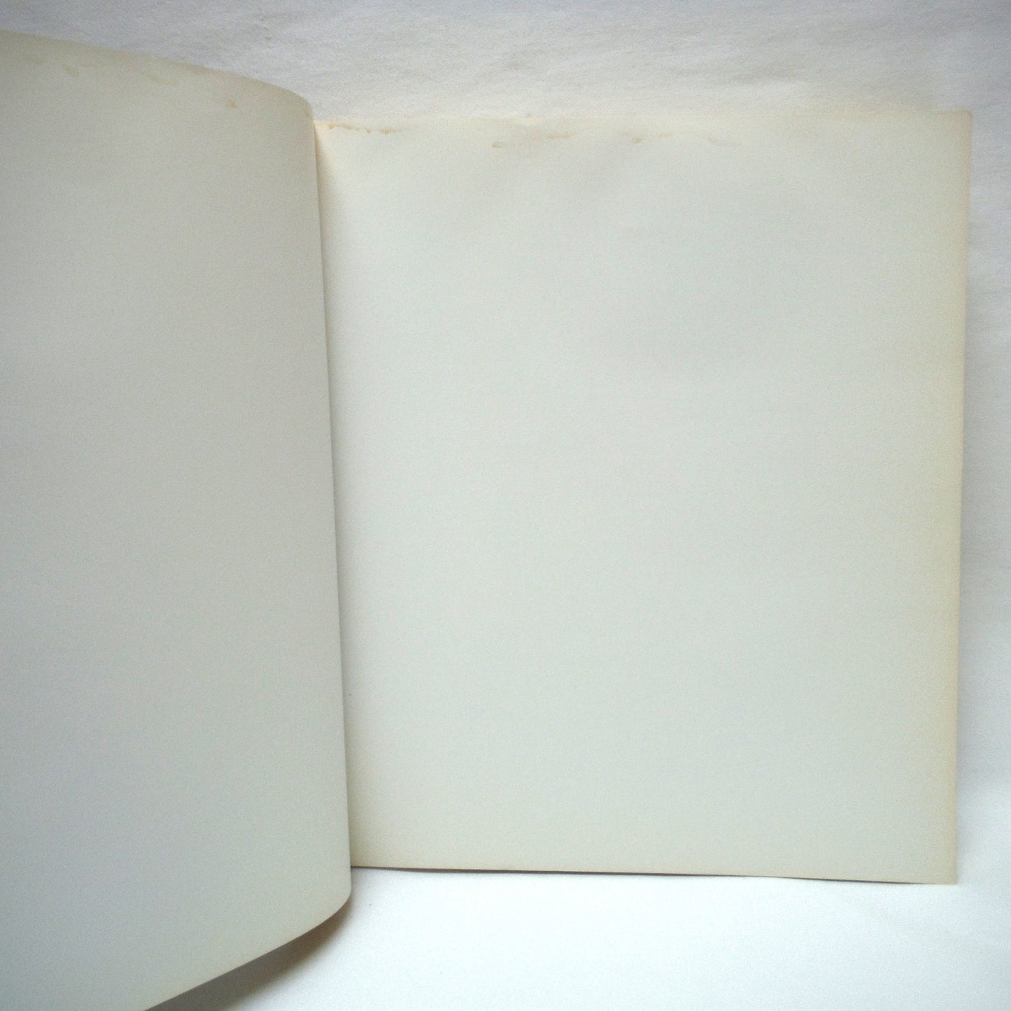 BETTY GOODWIN, Works from 1971 to 1987, by Yolande Racine and The Montreal Museum of Fine Arts (1987 1st Ed.)