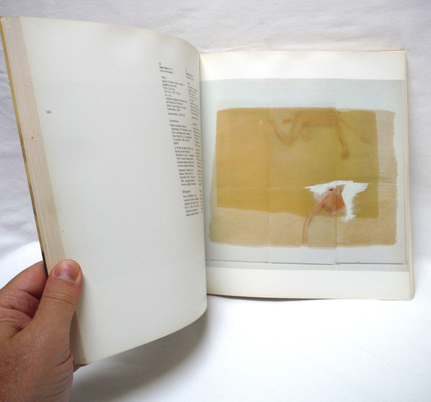 BETTY GOODWIN, Works from 1971 to 1987, by Yolande Racine and The Montreal Museum of Fine Arts (1987 1st Ed.)